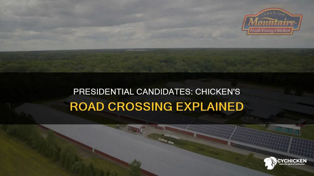 why did the chicken cross the road presidential candidates