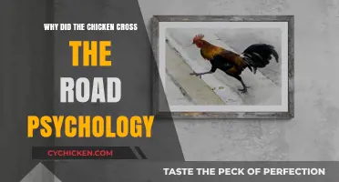 Why Chickens Cross Roads: Unraveling the Psychology Behind the Joke