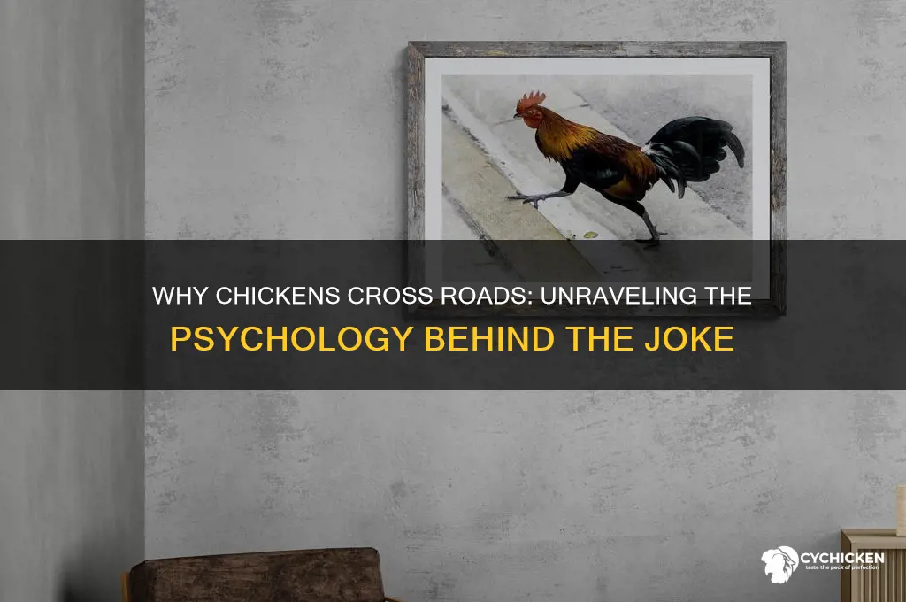 why did the chicken cross the road psychology