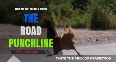 Why Did the Chicken Cross the Road? The Hilarious Punchline Explained