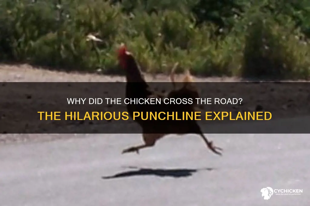 why did the chicken cross the road punchline