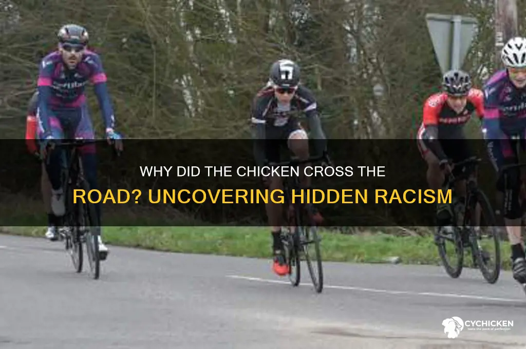 why did the chicken cross the road racism