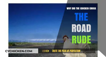 Why Did the Chicken Cross the Road? The Rude Truth