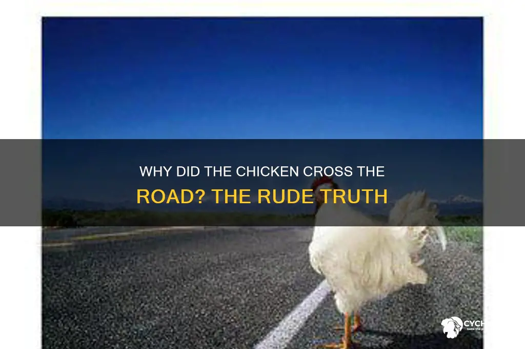 why did the chicken cross the road rude