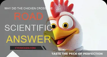 The Chicken's Road Crossing: A Scientific Mystery
