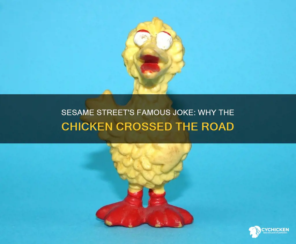 why did the chicken cross the road sesame street
