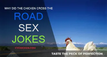Risqué Road Crossing: Chicken's X-rated Adventure