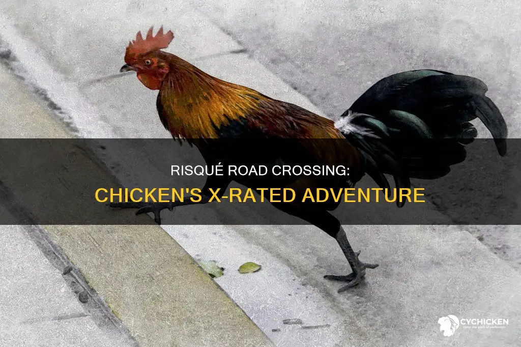 why did the chicken cross the road sex jokes