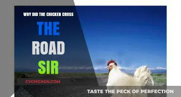 Why Did the Chicken Cross the Road? Unraveling the Classic Riddle