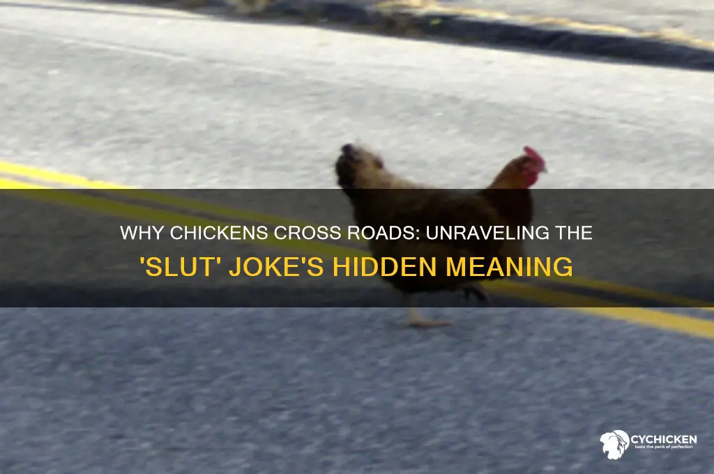 why did the chicken cross the road slut