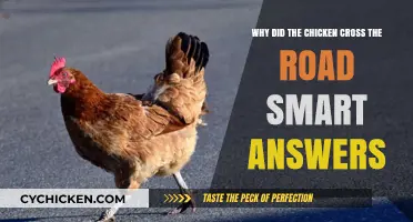Smart Reasons for the Chicken's Road Crossing