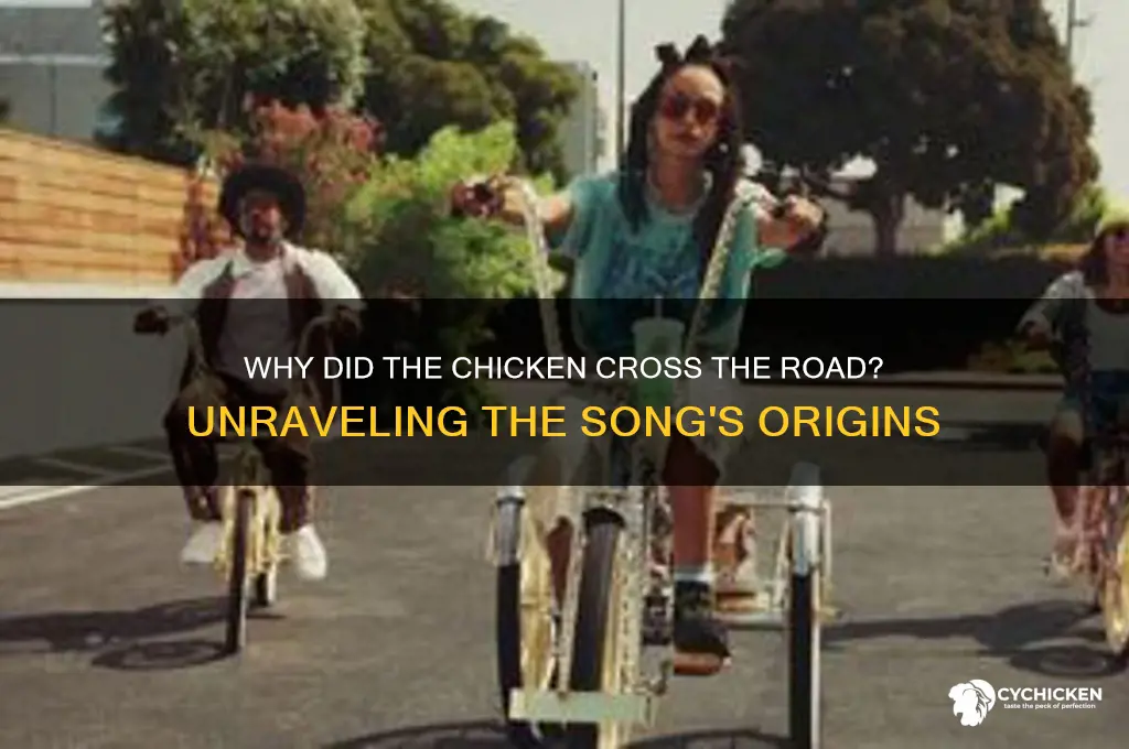 why did the chicken cross the road song