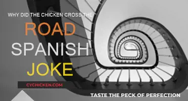 The Chicken's Spanish Roadtrip Adventure