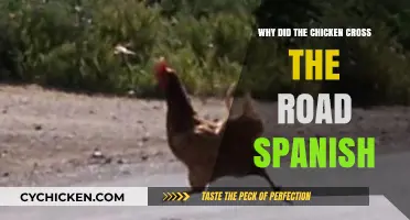 Why Did the Chicken Cross the Road in Spanish?