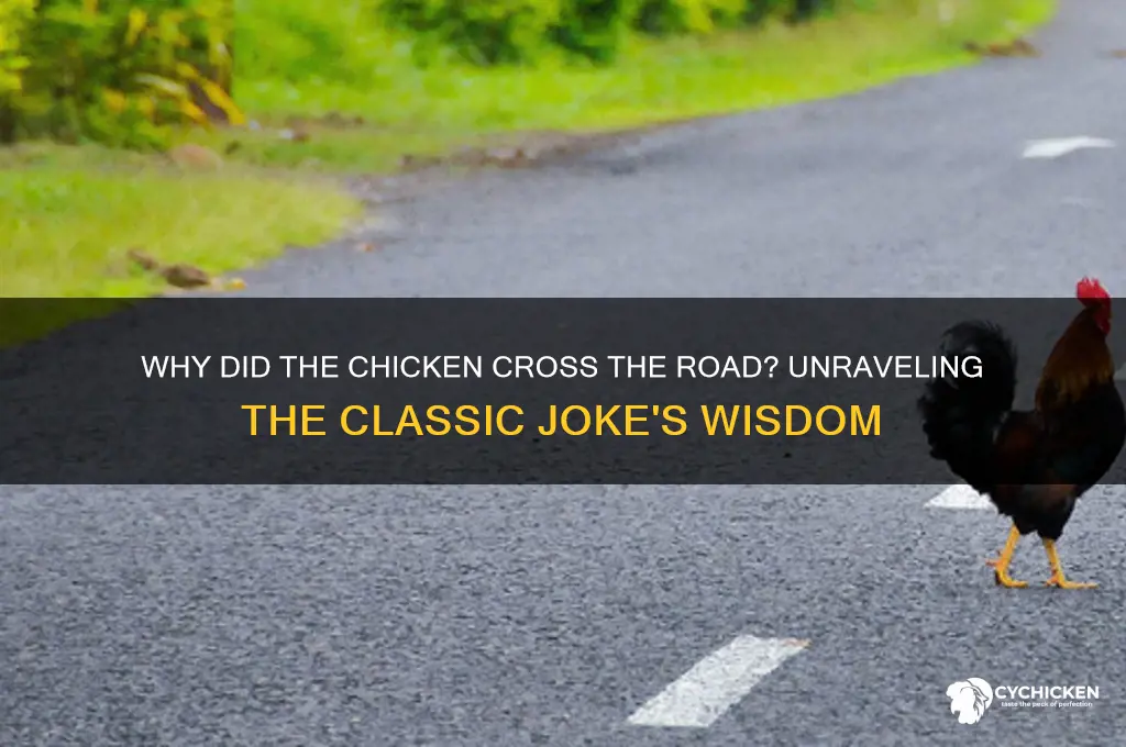 why did the chicken cross the road speech