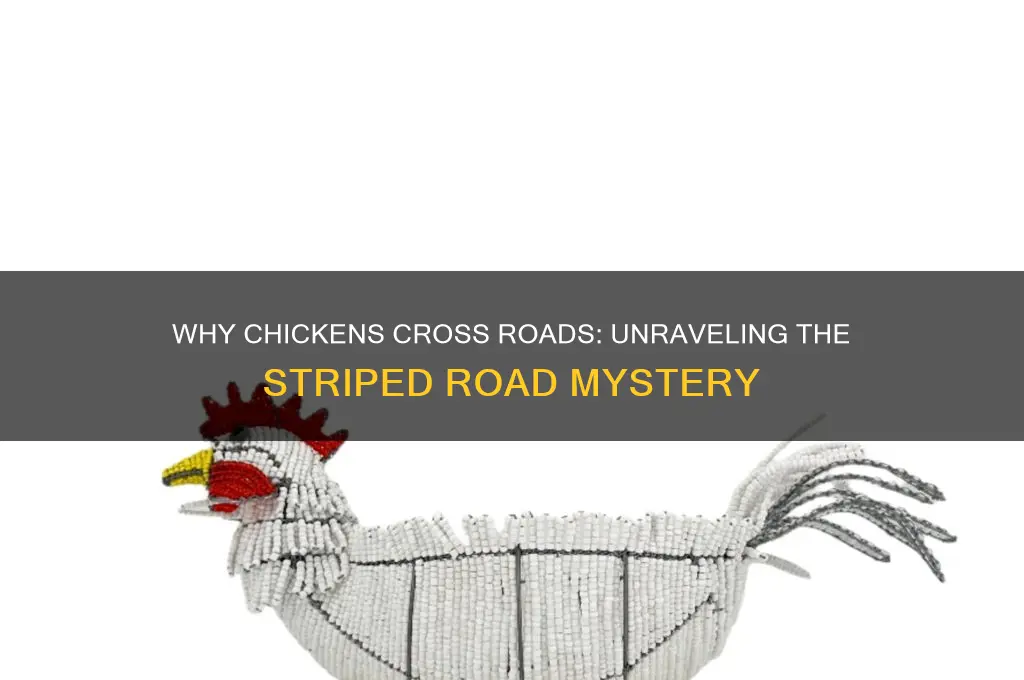 why did the chicken cross the road stri