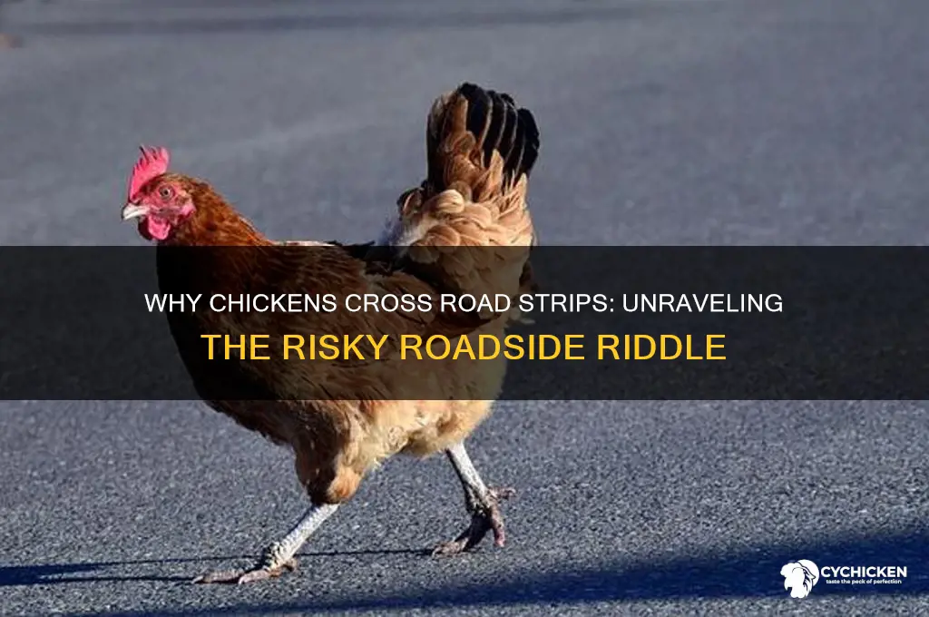 why did the chicken cross the road strip