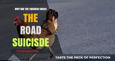 Why Chickens Cross Roads: Debunking the Suicide Myth and Facts