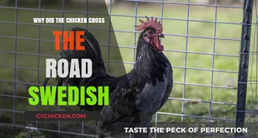 Why Did the Chicken Cross the Road? Swedish Humor Explained