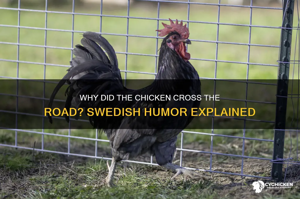 why did the chicken cross the road swedish