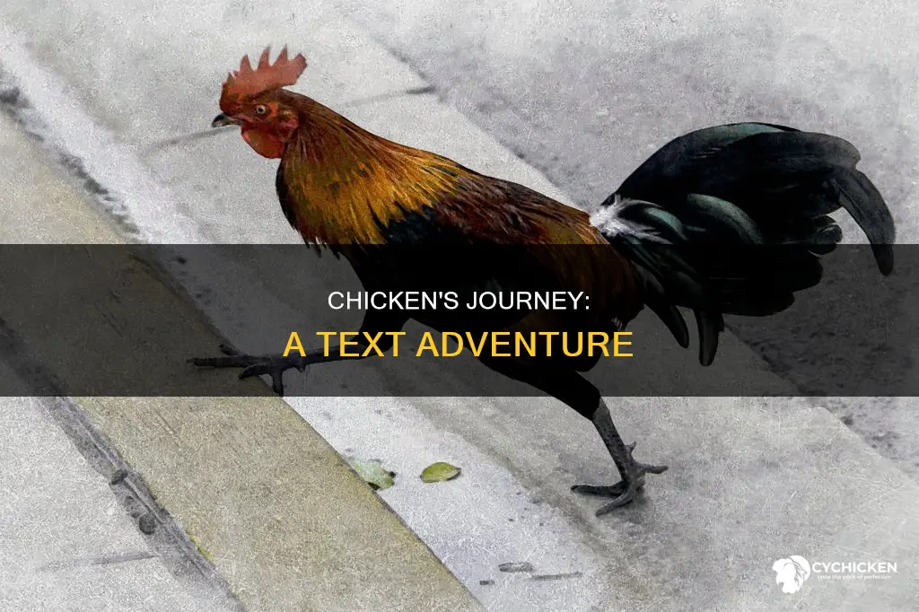 why did the chicken cross the road text message