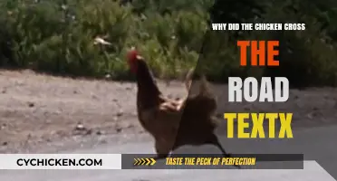 Why Did the Chicken Cross the Road? Unraveling the Textual Mystery