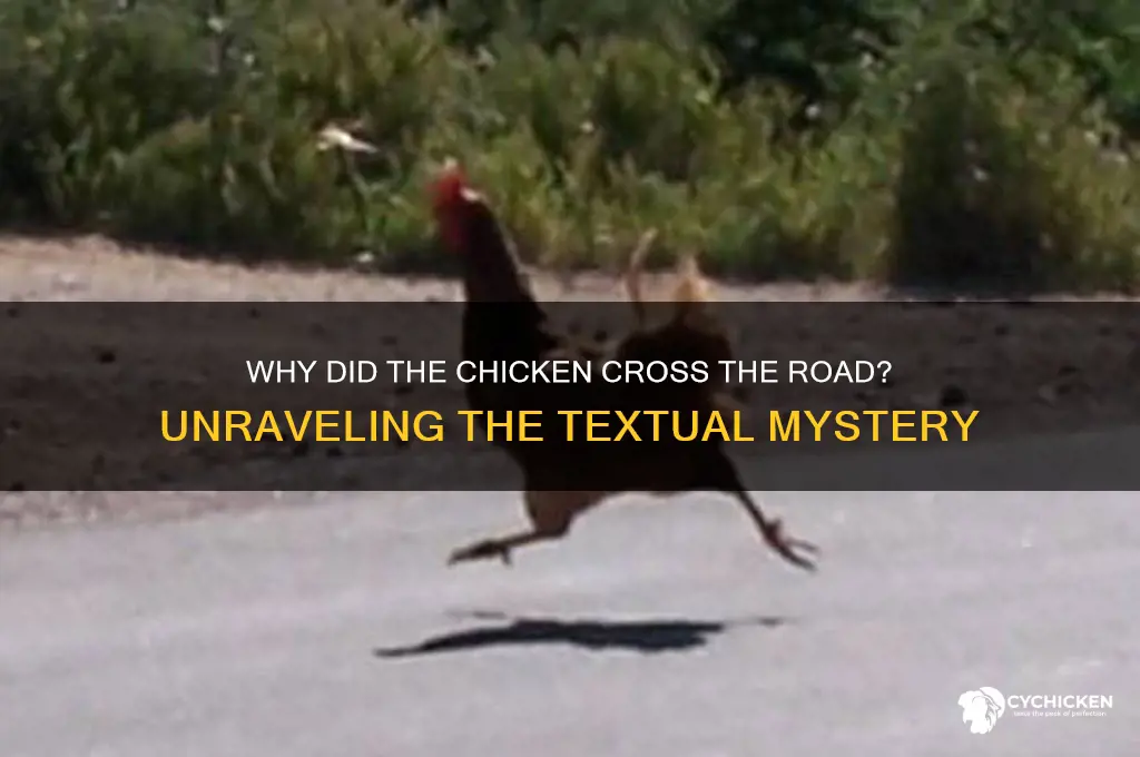 why did the chicken cross the road textx