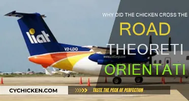 Chicken's Road Crossing: A Theoretical Take