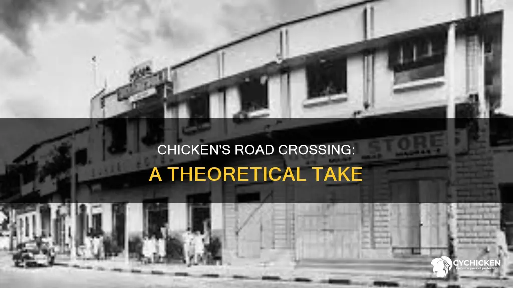 why did the chicken cross the road theoretical orientation