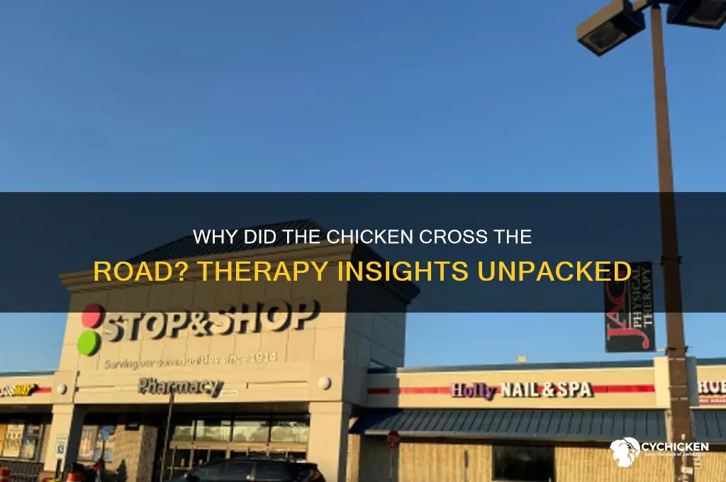 why did the chicken cross the road therapy