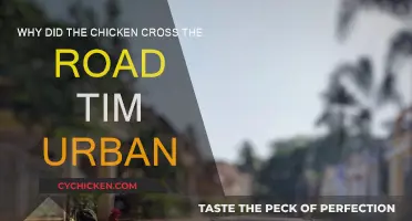 The Chicken's Road Trip: Tim Urban Explains Why