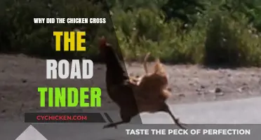 Why Did the Chicken Cross the Road? Tinder's Hilarious Take