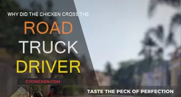 Truckers' Tales: Why Chickens Cross the Road