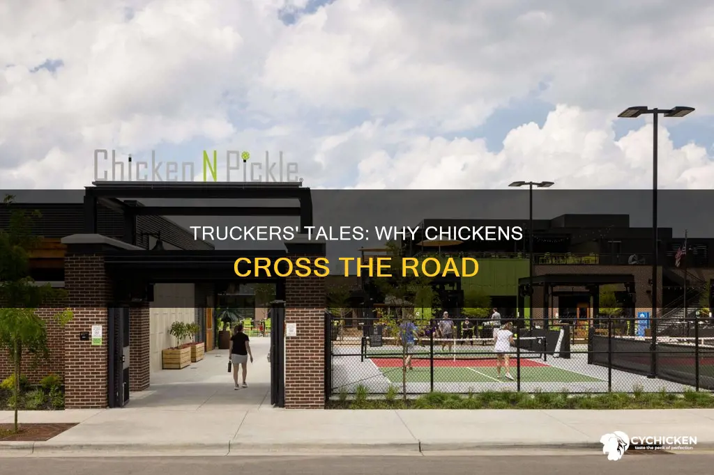 why did the chicken cross the road truck driver
