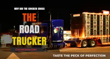 Why Did the Chicken Cross the Road? Trucker Tales Explained