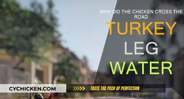 Chicken's Road Trip: Turkey Leg, Water, and All