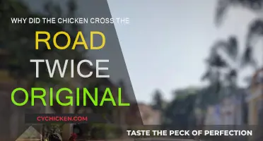 The Chicken's Double Road Crossing: Why?