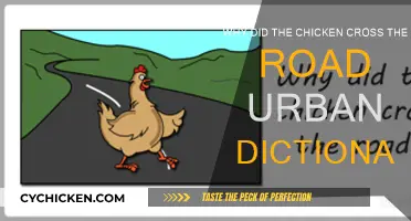 The Chicken Crossed the Road: Urban Dictionary Style