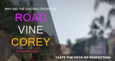 Chicken Crosses Road: Corey's Viral Vine Explained