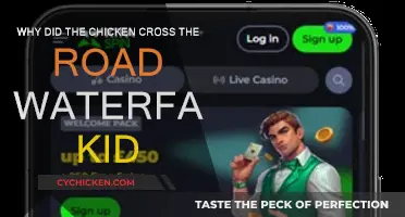 The Chicken, the Road, and a Waterfall Kid: Why?