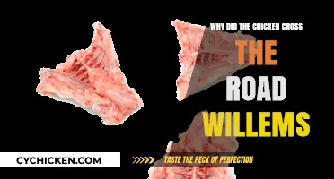 Why Did the Chicken Cross the Road? Willems' Hilarious Take Explained