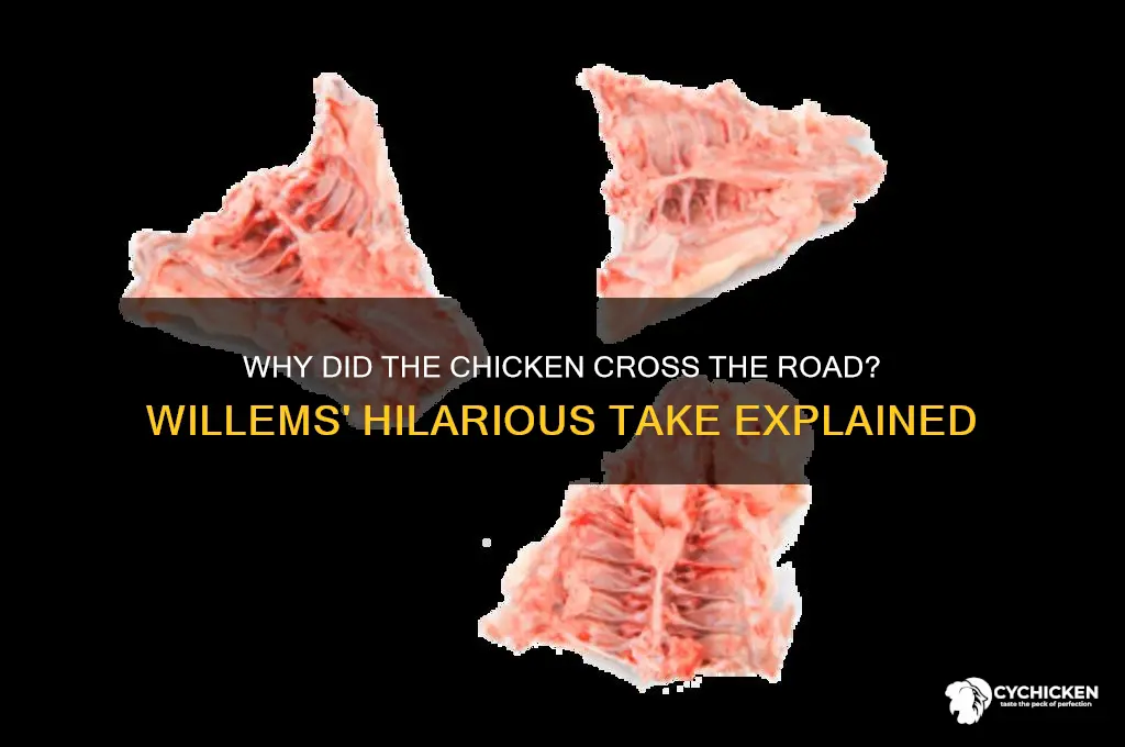 why did the chicken cross the road willems