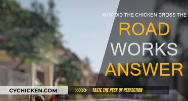 The Chicken Crossed the Road: Worksheet Solutions