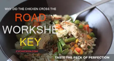 The Chicken Crossed the Road: Worksheet Key Explained
