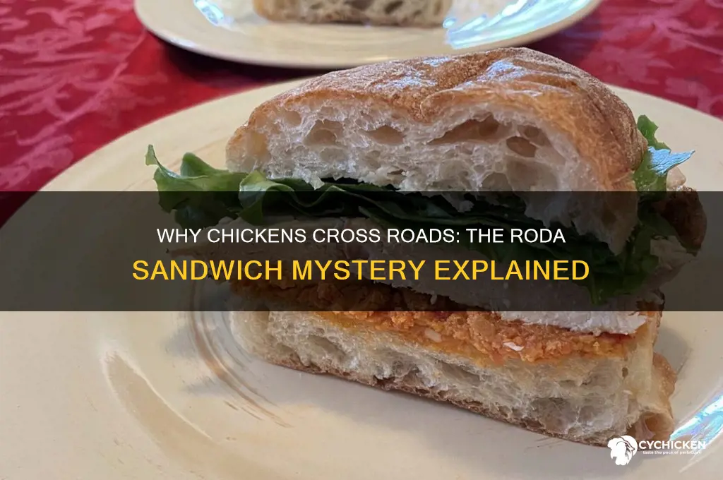 why did the chicken cross the roda sandwich