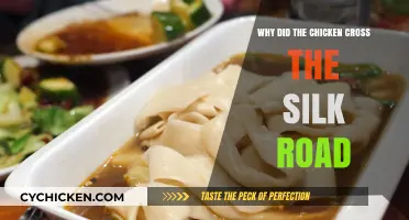 Why Chickens Crossed the Silk Road: A Historical Culinary Journey