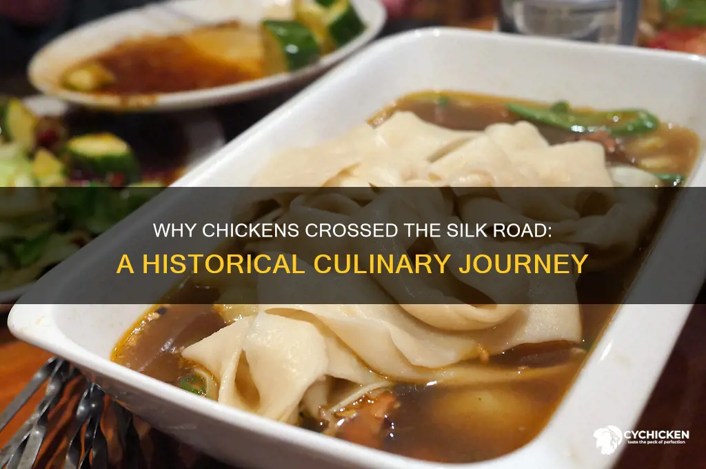 why did the chicken cross the silk road