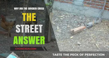 Why Chickens Cross Streets: Unraveling the Classic Joke's Answer