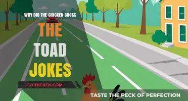 Why Did the Chicken Cross the Toad? Jokes Explained