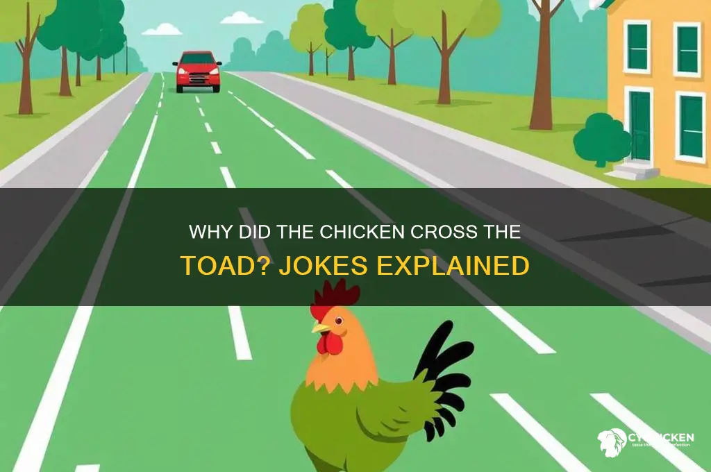 why did the chicken cross the toad jokes